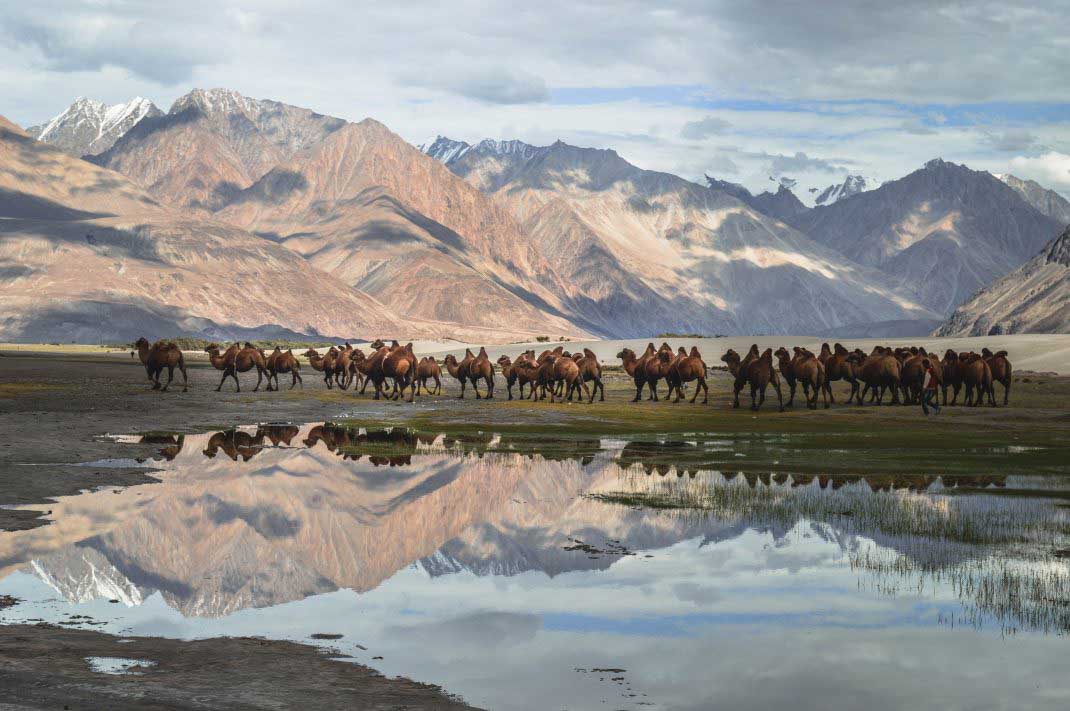 Things to do in Ladakh  Original Travel Blog - Original Travel